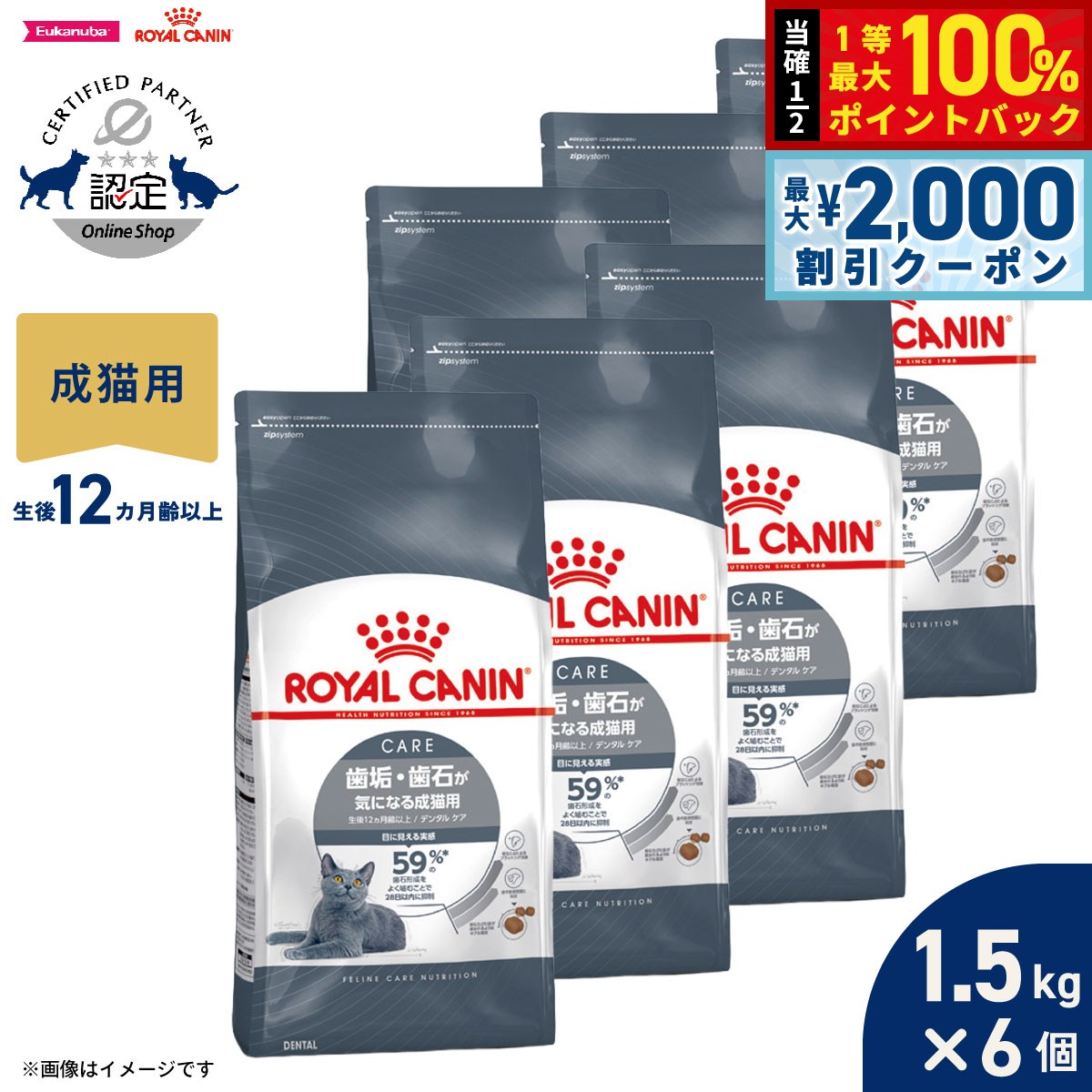 【7/25限定！2000円OFFクーポン＆抽選で1万ポイントバック】ロイヤルカナン 猫 キャットフード フィーラインケアニュートリション デンタルケア 1.5kg&times;6個 正規品 歯垢・歯石が気になる猫専用フード 成猫用｜コジコジ