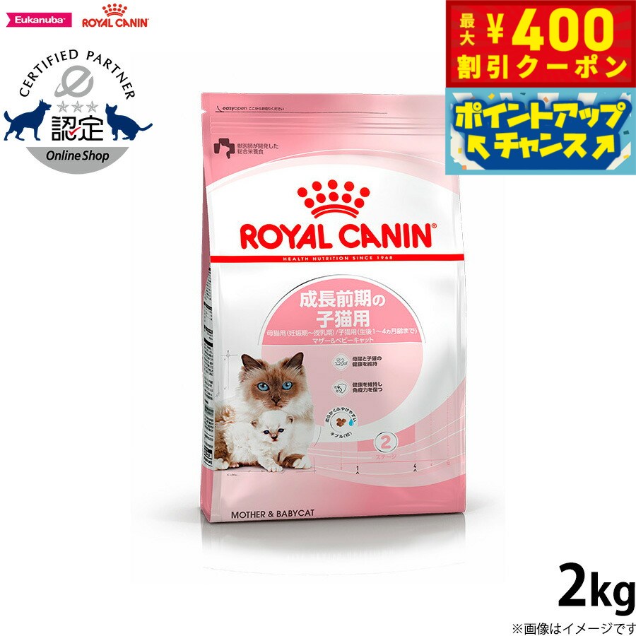 ロイヤルカナン ノルウェージャン フォレストキャット 2kg ×2 新品未開封 Amazon | ロイヤルカナン FBN ノルウェージャンフォレスト