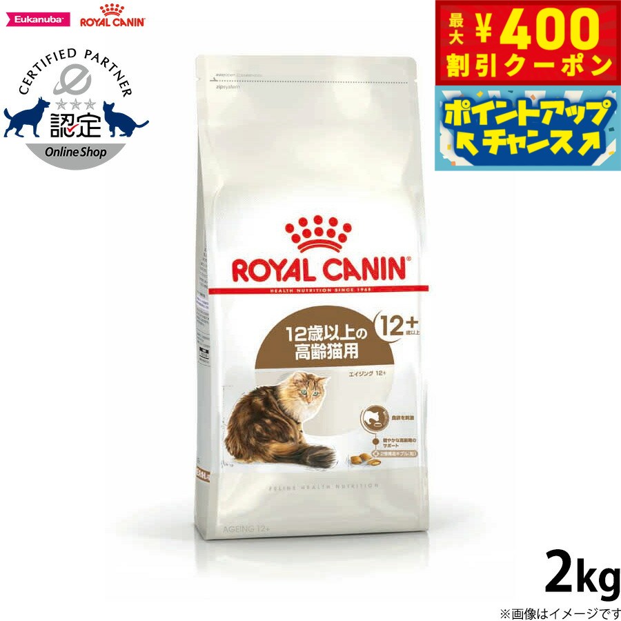 楽天市場】【400円OFFクーポン！＆店内ポイント最大42倍！本日
