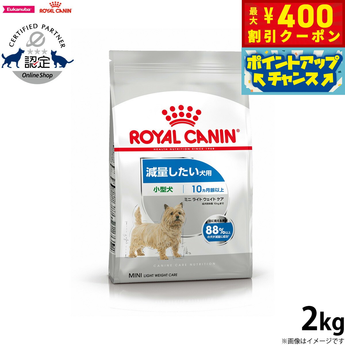 楽天市場】【400円OFFクーポン！＆店内ポイント最大42倍！本日