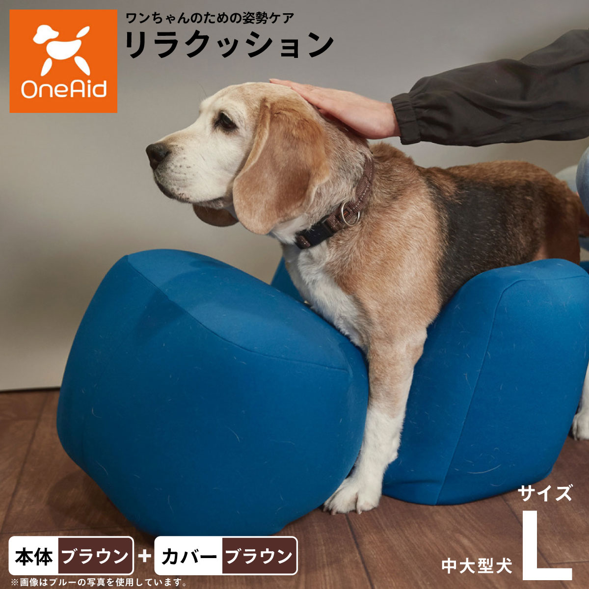 うちの子に合うごはんを選ぶ悧巧に