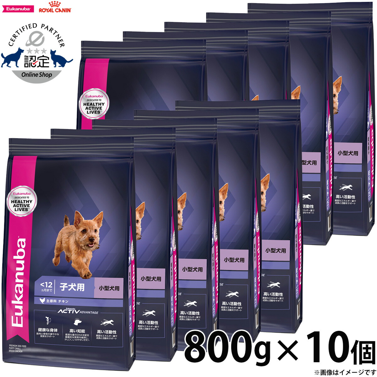 【店内ポイント最大39倍！本日限定！】 800g×10個