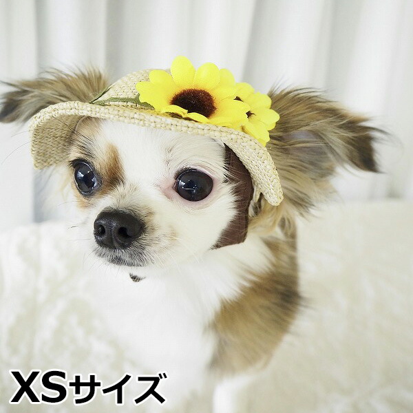 市場 店内ポイント最大37倍 ガーデンオブエデン 犬の帽子 本日限定