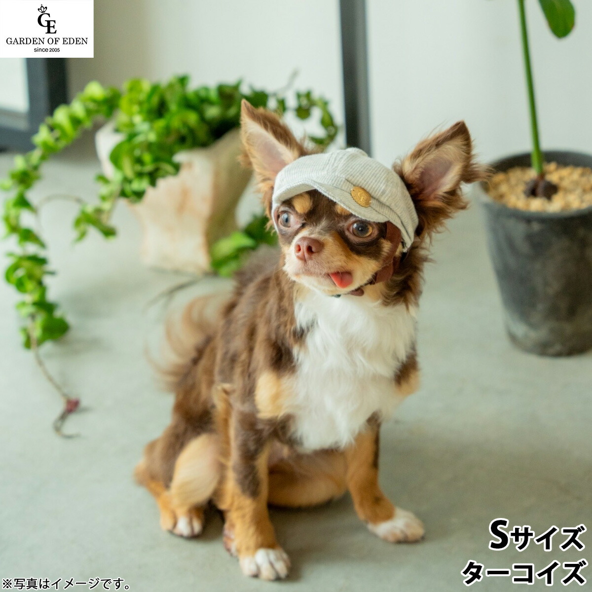 【1等最大10万ポイント当たる！20日から！】犬の帽子 ガーデンオブエデン オーガニックコットンキャスケット S ターコイズ【送料無料】 おしゃれ ファッション お出かけ