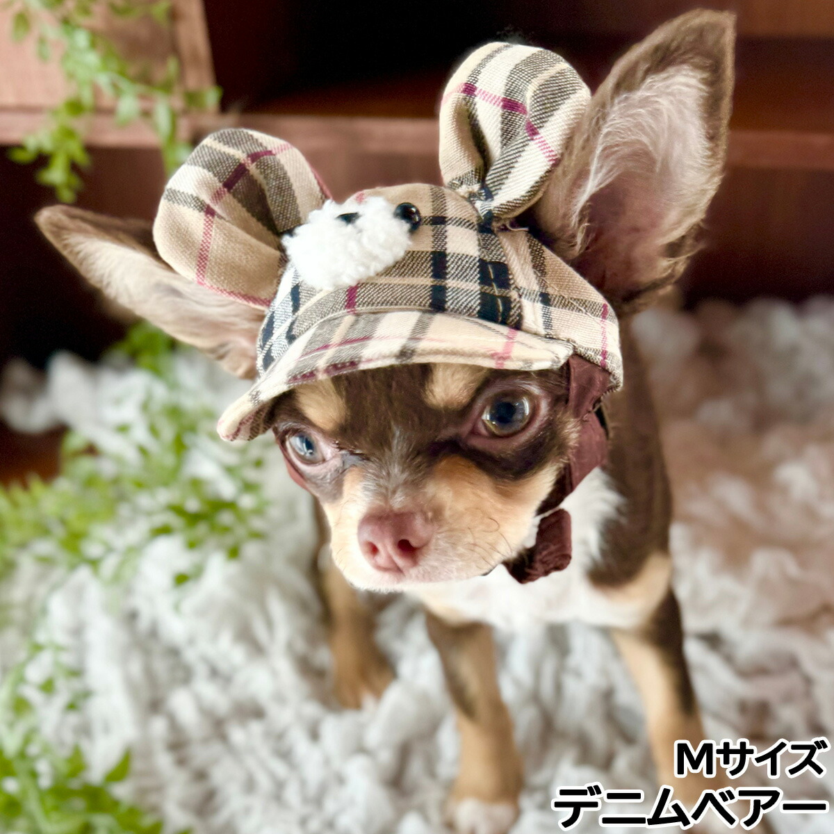 【1等最大10万ポイント当たる！20日から！】犬の帽子 ガーデンオブエデン ベア―キャップ M デニムベア―【送料無料】