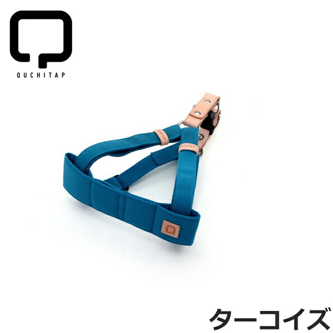 うちの子に合うごはんを選ぶ悧巧に