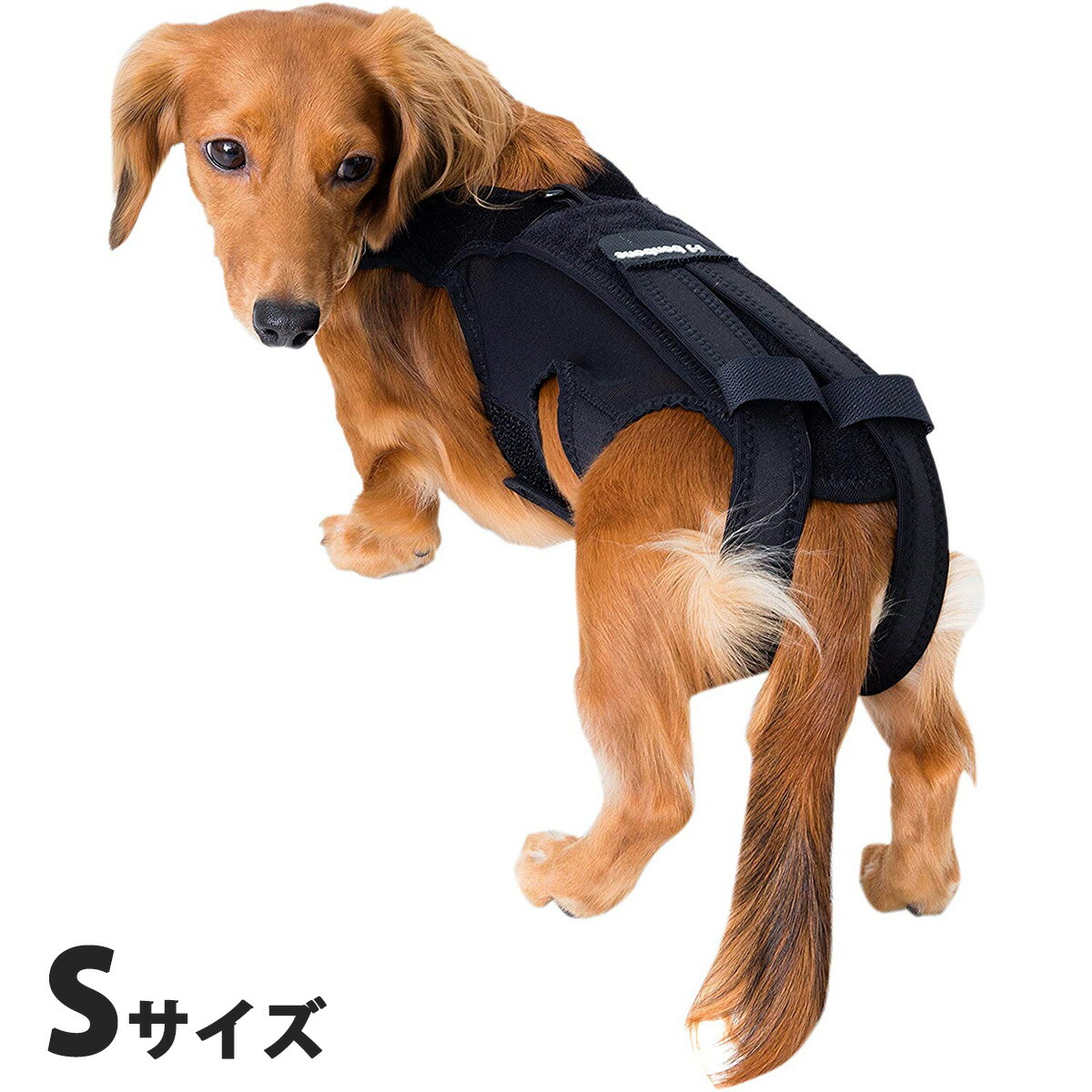 人気沸騰即納 のわんコル コルセット 送料無料 25日0時 店内ポイント最大55倍 25日23時59分まで わんコル 持ち手つき Sサイズ 送料無料 犬用品 ペットグッズ ペット用品 驚きの価格が実現 の