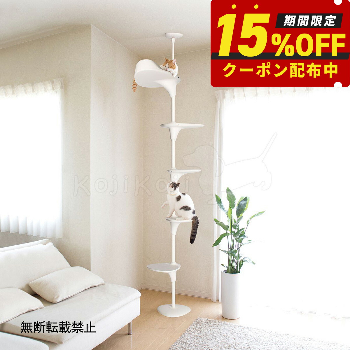 楽天市場】【2000円OFFクーポン！＆店内ポイント最大60.5倍！本日限定 