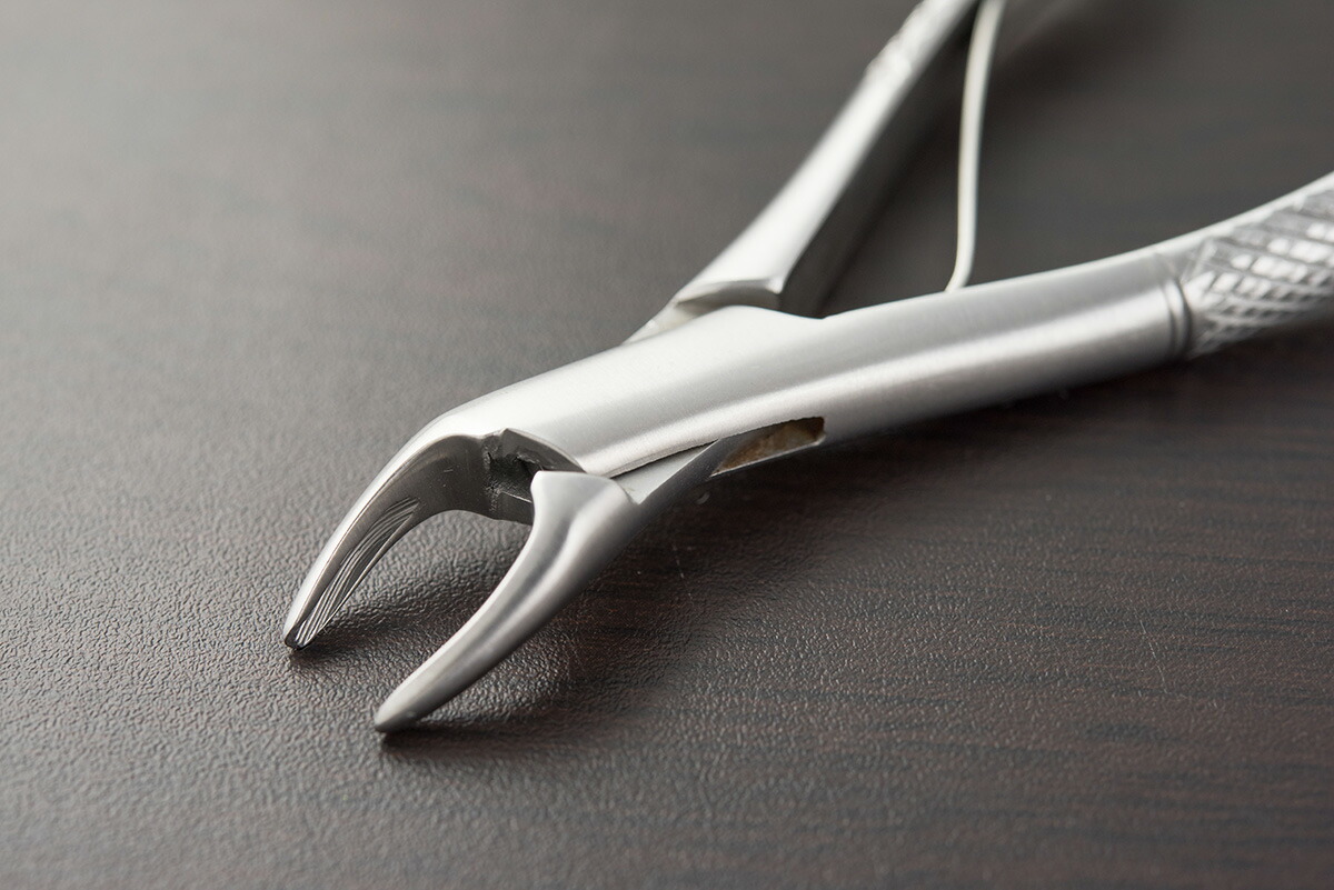 歯石取り あす楽対応 帝塚山ハウンドカム 猫 その他 愛犬 愛猫用 10日0時 店内ポイント最大55倍 10日23時59分まで 愛犬 愛猫用 帝塚山ハウンドカム 歯石取り 愛犬 愛猫用 歯石 ペンチ 送料無料 ペンチ 犬 デンタルケア ホームケア 猫 プロも愛用 送料無料