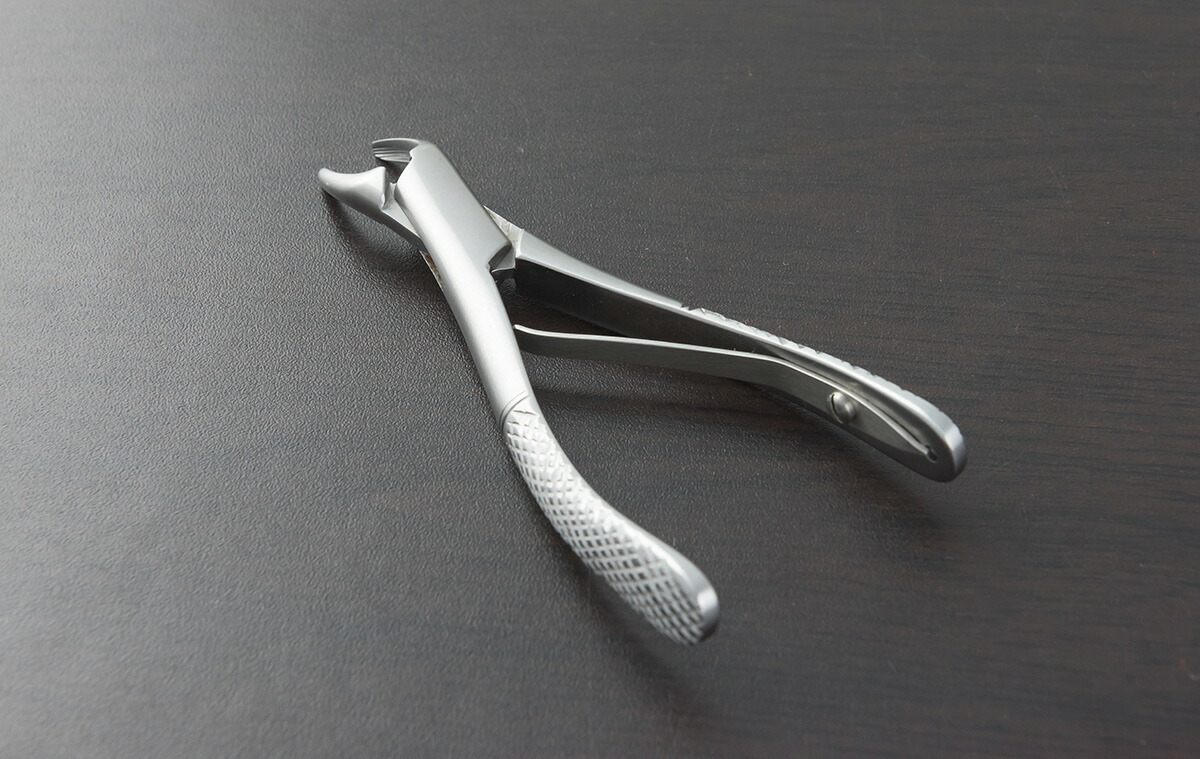 歯石取り あす楽対応 帝塚山ハウンドカム 猫 その他 愛犬 愛猫用 10日0時 店内ポイント最大55倍 10日23時59分まで 愛犬 愛猫用 帝塚山ハウンドカム 歯石取り 愛犬 愛猫用 歯石 ペンチ 送料無料 ペンチ 犬 デンタルケア ホームケア 猫 プロも愛用 送料無料