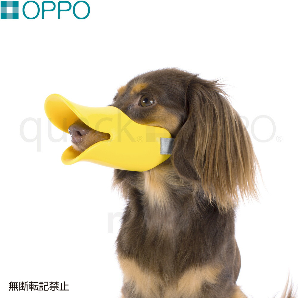 楽天市場】【店内ポイント最大38倍！本日限定！】OPPO quack face（クアック フェイス） : コジコジ