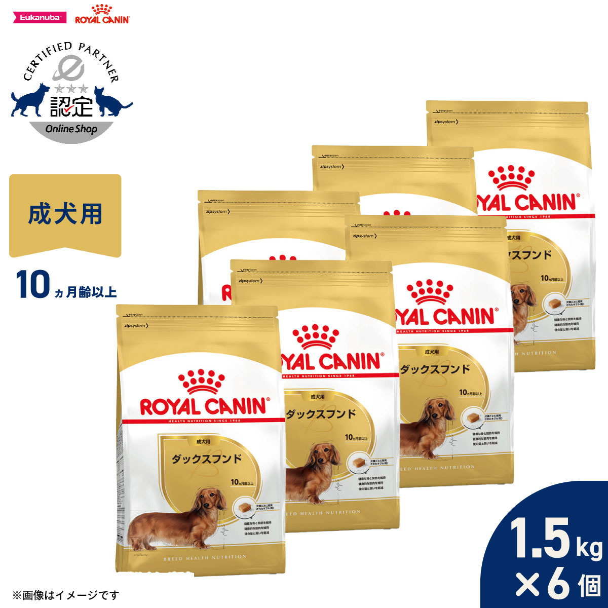 【1等最大10万ポイント当たる！20日から！】ロイヤルカナン 犬 ドッグフード ブリードヘルスニュートリション ダックスフンド専用フード 成犬用 1.5kg×6個 正規品