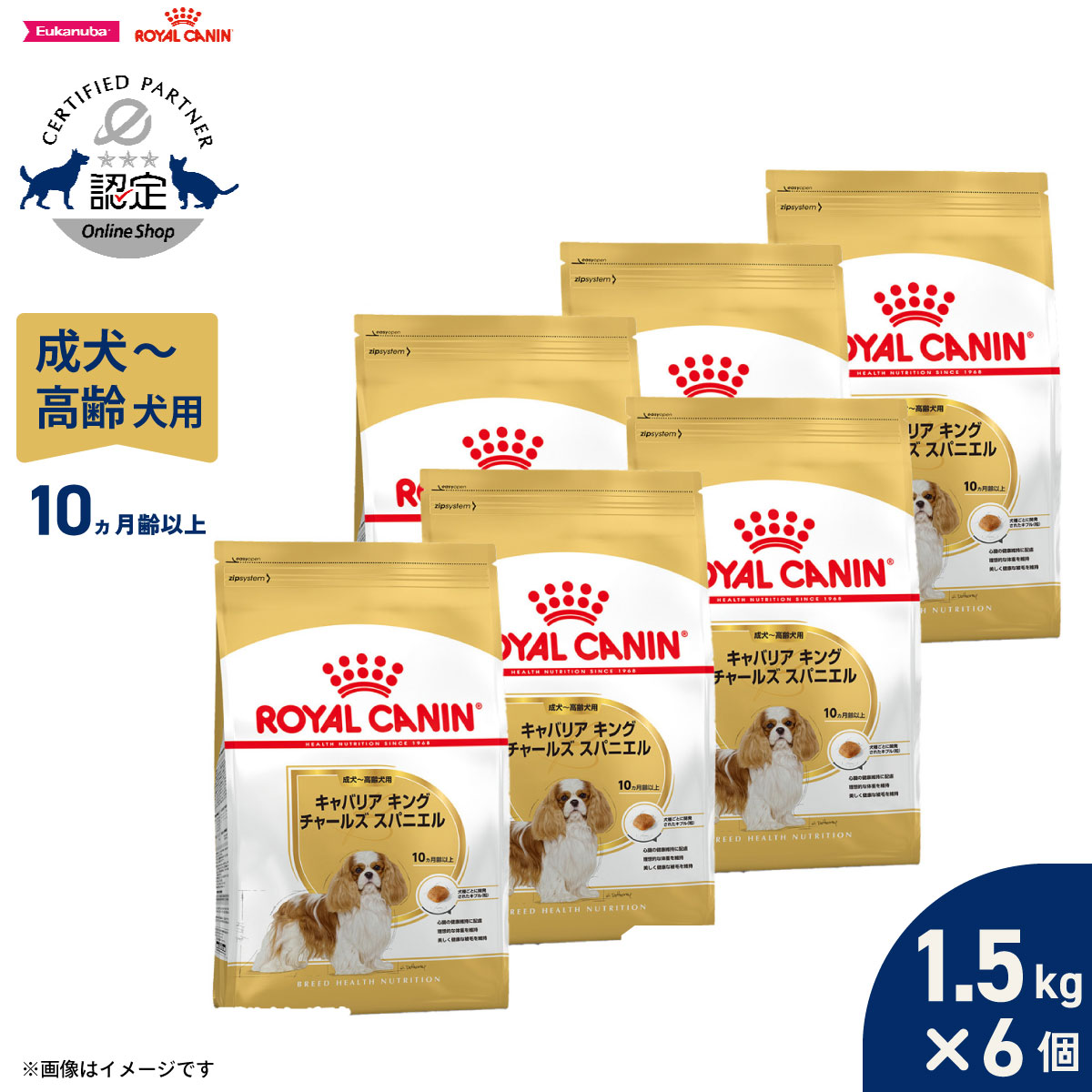 【1等最大10万ポイント当たる！20日から！】ロイヤルカナン 犬 ドッグフード ブリードヘルスニュートリション キャバリア キング チャールズ専用フード 成犬～高齢犬用 1.5kg×6個 正規品