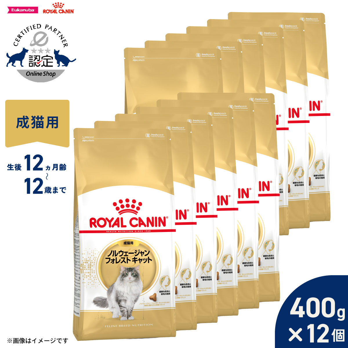ロイヤルカナン キャットフード ノルウェージャン 猫用品 正規品 フォレストキャット 成猫用 送料無料 あす楽対応 15日0時 店内ポイント最大36 5倍 15日23時59分まで ロイヤルカナン キャットフード ノルウェージャン フォレストキャット 成猫用 400g 12袋 正規品
