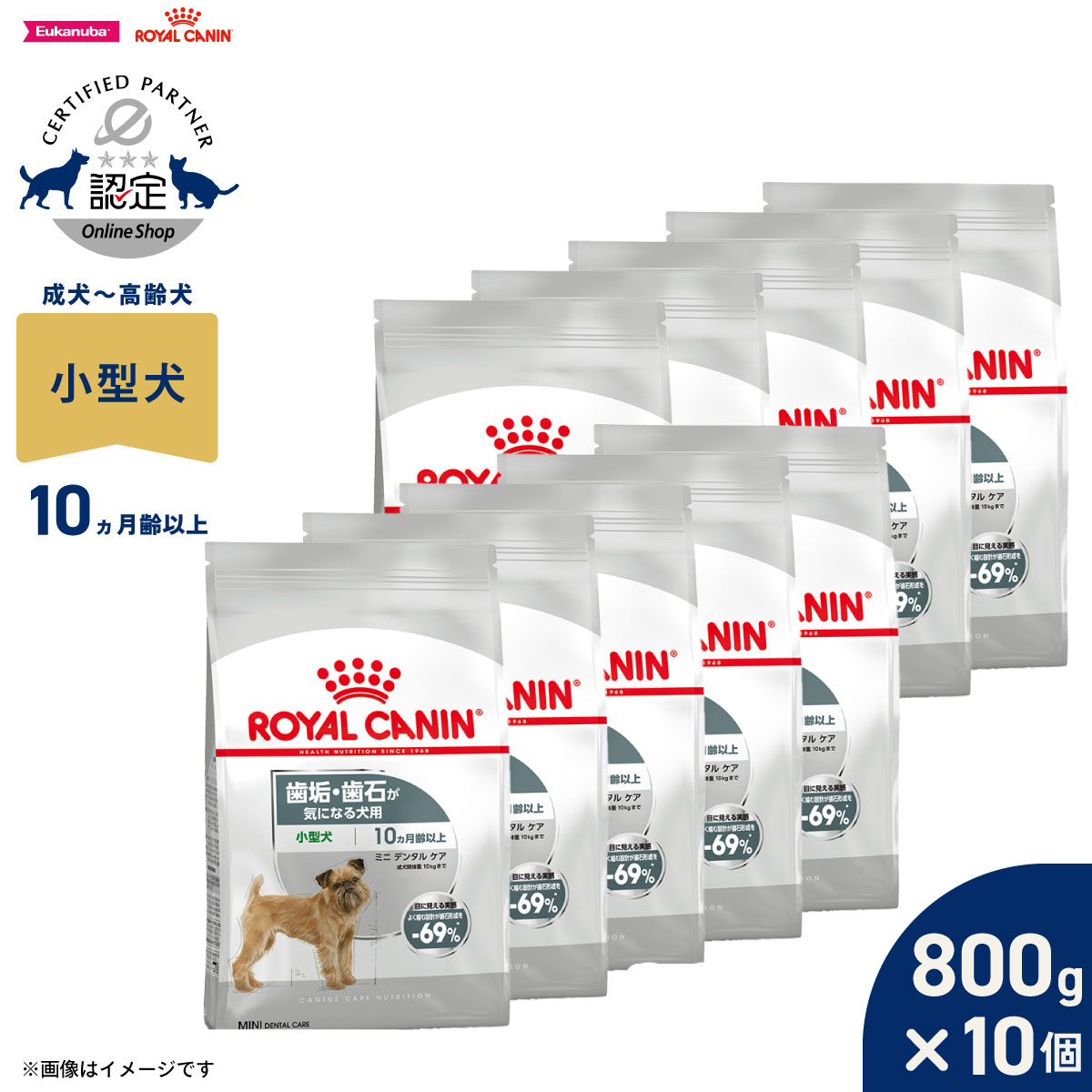 【1等最大10万ポイント当たる！20日から！】ロイヤルカナン 犬 ドッグフード ケーナインケアニュートリション ミニ デンタルケア 800g×10個 正規品 歯垢・歯石が気になる犬用 小型犬専用 成犬～高齢犬用