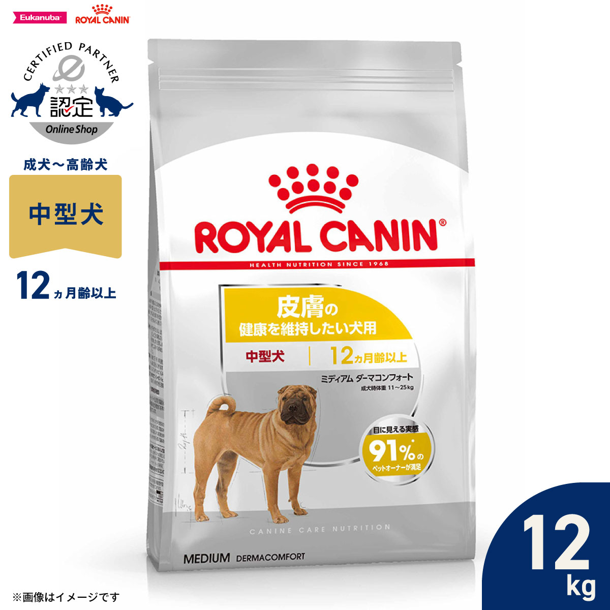 【1等最大10万ポイント当たる！20日から！】ロイヤルカナン 犬 ドッグフード ケーナインケアニュートリション ミディアムダーマコンフォート 12kg 正規品 皮膚の健康を維持したい犬用 中型犬専用 成犬～高齢犬用