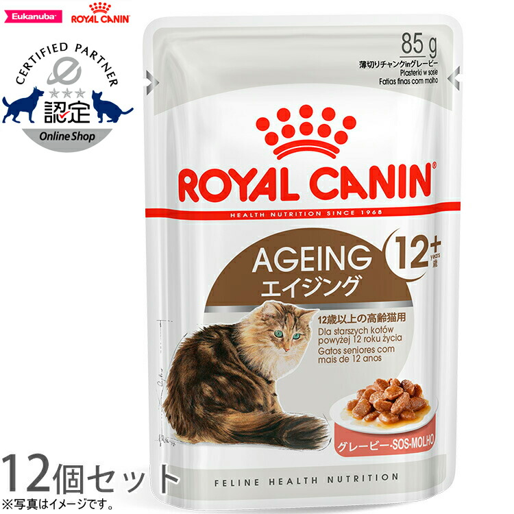 ロイヤルカナン 猫 10kg ねこグッズ インドア キャットフード ペット ペットグッズ ペット用品 正規品 猫用品 送料無料 【69%OFF!】  キャットフード