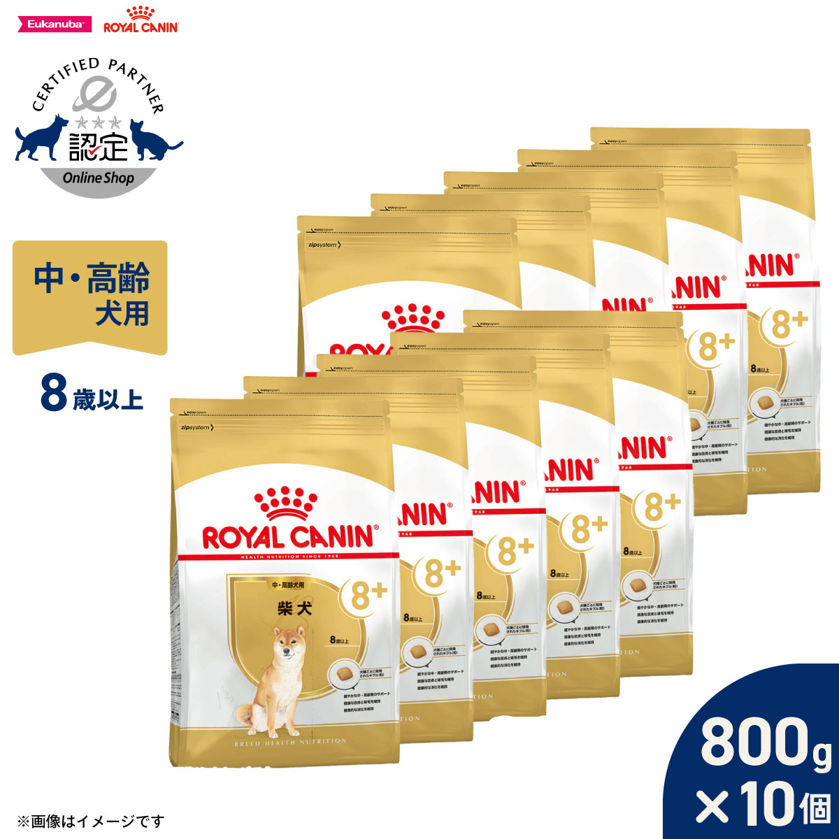 【1等最大10万ポイント当たる！20日から！】ロイヤルカナン 犬 ドッグフード ブリードヘルスニュートリション 柴犬専用フード 中 高齢犬用 800g×10個 正規品