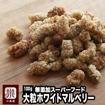 桑の実マルベリー完熱5キロ 桑の実マルベリー完熱5キロ 果物