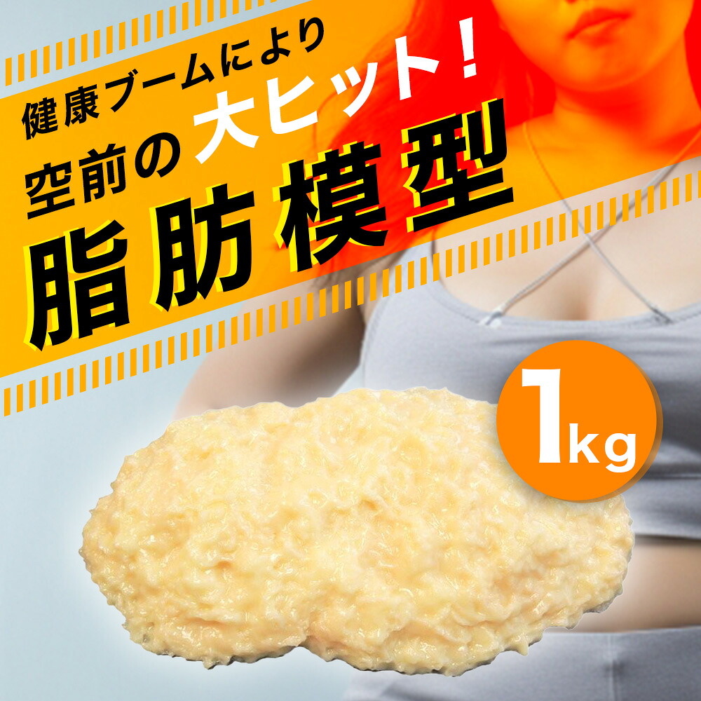 脂肪 1キロ 模型 体脂肪模型 1kgの通販 by Tafia s shop