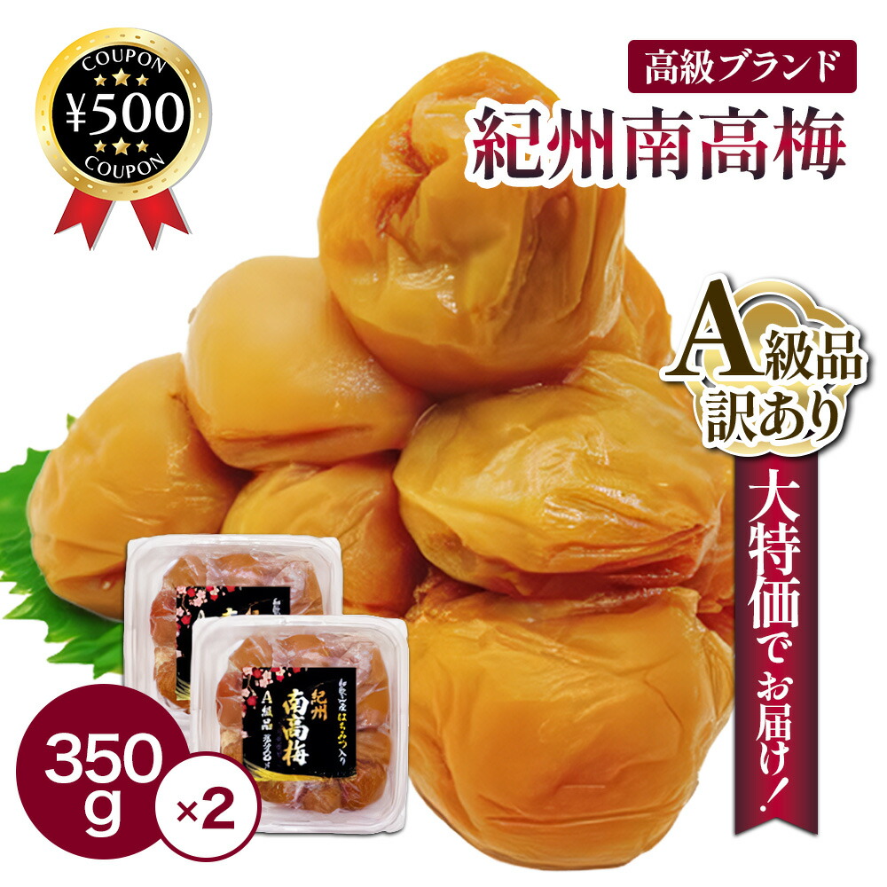 発酵梅-得々パック(15個*20袋)