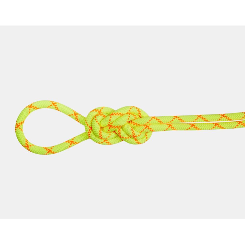 【最大P10倍！4/11 1:59迄】MAMMUT マムート / 9.5アルパインコアプロテクトドライロープ60m / カラー：1287（halo-vibrant orange） / 9.5 Alpine Core Protect DryRope 60m 2010-05450_1287 27,170円