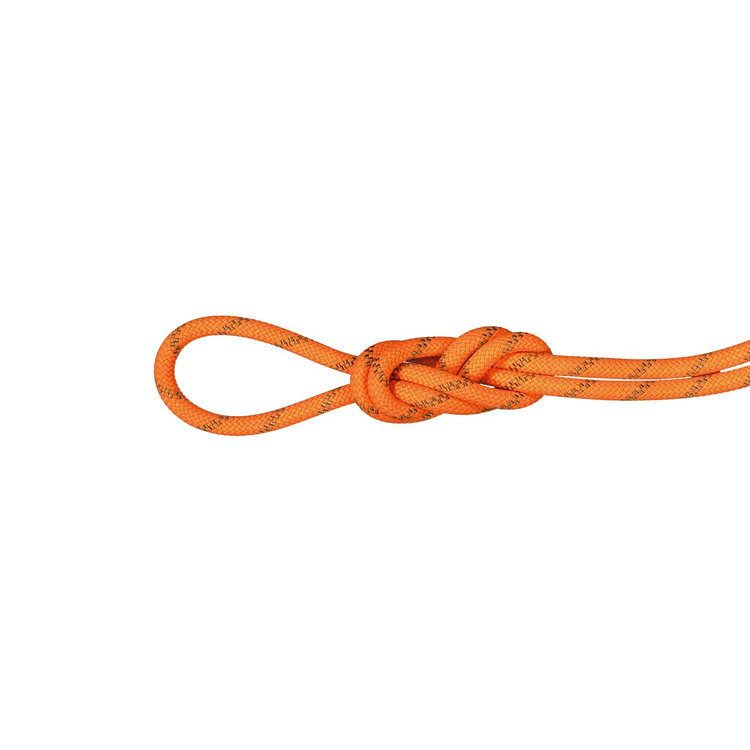 【最大P10倍！4/11 1:59迄】MAMMUT マムート / 8．0 アルパイン ドライ ロープ 60m / カラー：2284（vibrant orange-boa） / 8.0 Alpine Dry Rope 60m 2010-05140_2284