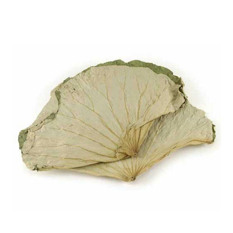 楽天市場】蓮の葉 50g （乾燥） : 横浜中華街中国超級市場