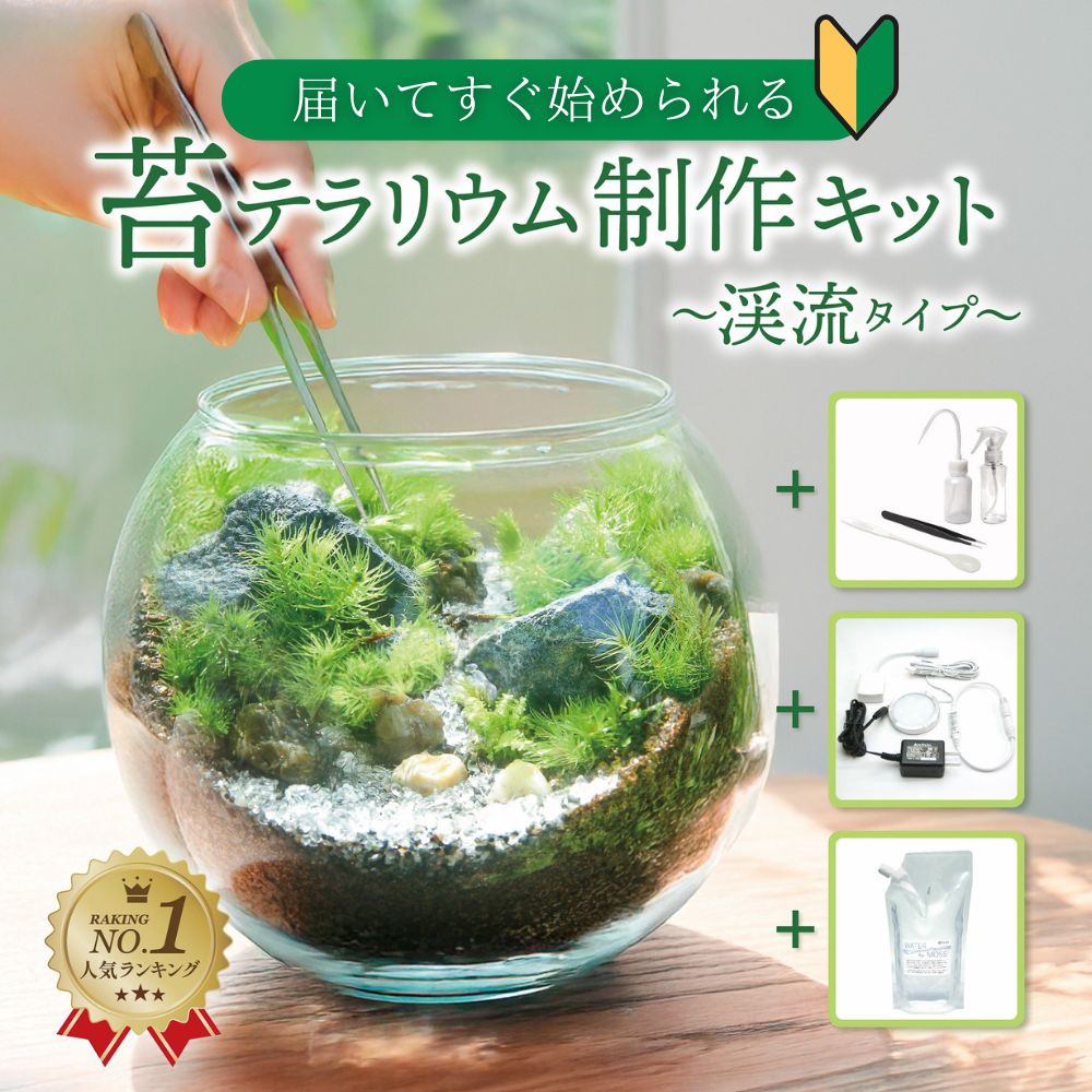 楽天市場】【ちょいのせライト】苔テラリウム 苔テラリウム用