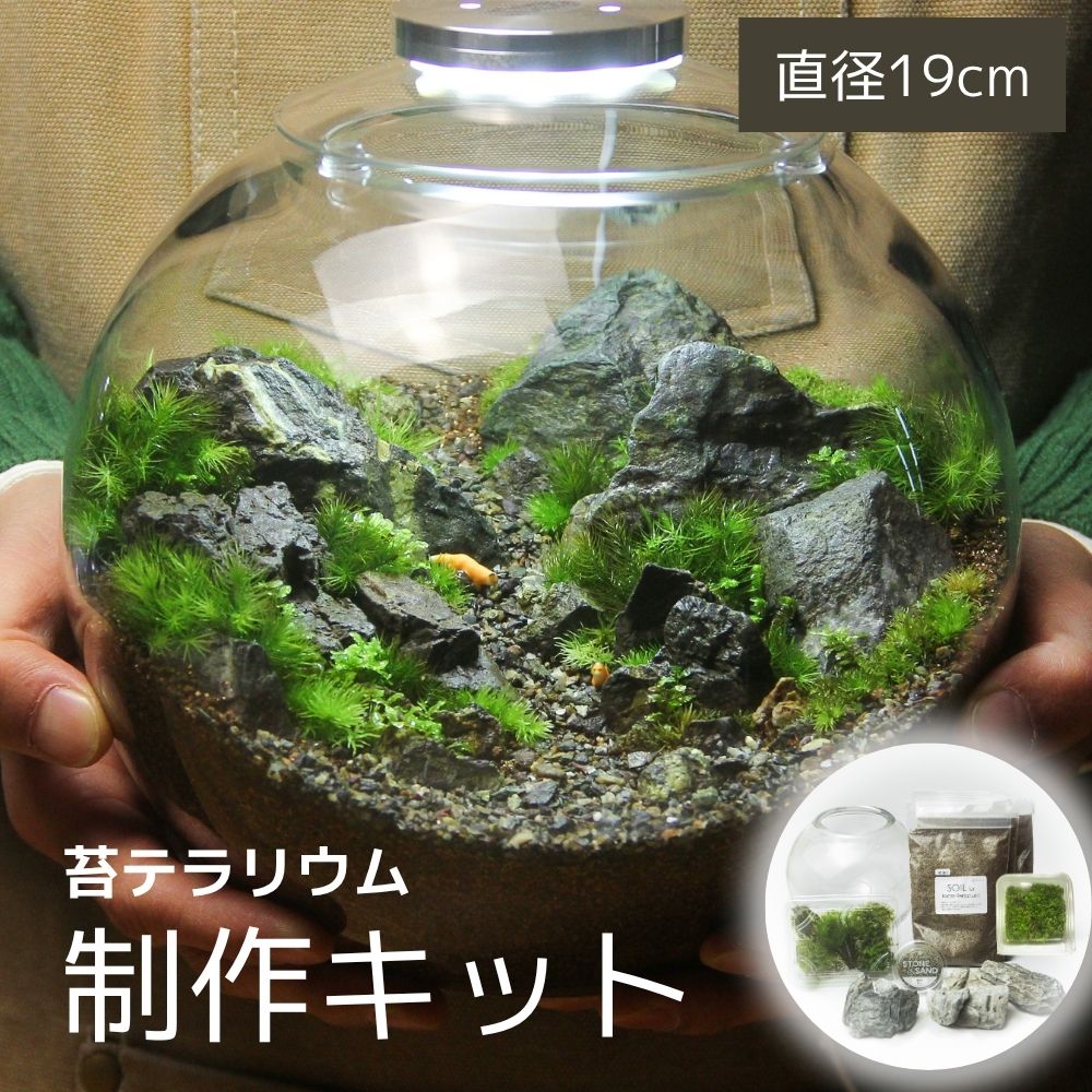 苔テラリウム キット 本格派向け＜直径19cmボウル＞大型制作キット｜石や植物が選べる｜苔むすび　店