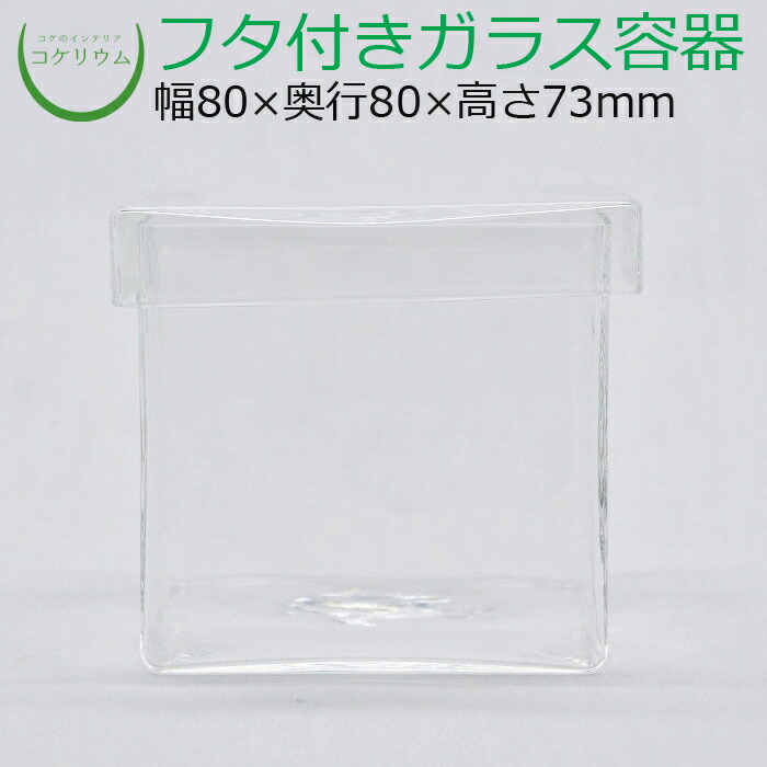 楽天市場 テラリウム ガラス容器 コケリウム 苔 コケ 苔テラリウム 苔リウム アクアリウム アクアテラリウム 水槽 観葉植物 園芸 ハイドロカルチャー ガーデニング グリーン インテリア 緑 苔盆栽 癒し Moss 初心者 コケリウムガラス容器 シリンダーm フタ付