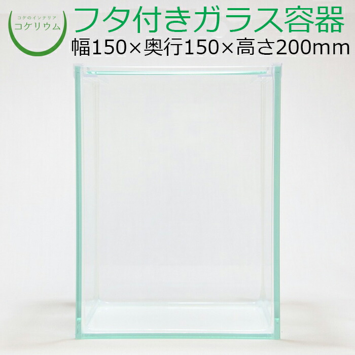 ガラス蒸留装置 レトロ 実験器具 水槽 テラリウム ガラス蒸留装置 レトロ 実験器具 水槽 テラリウム