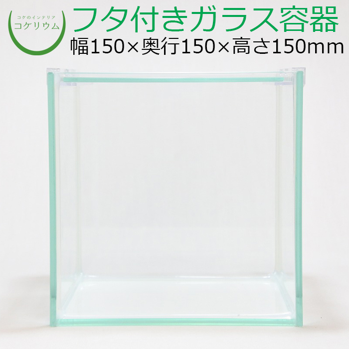 624円 11周年記念イベントが コケリウムガラス容器 15cmキューブ S フタ付
