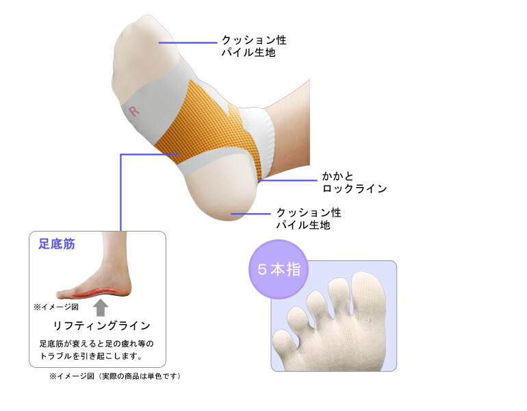 楽天市場 Newナース専用土踏まず楽ちんソックス 医療用 白 ソックス 看護師 介護 病院 靴下 ナース 女性 ナースリー 白衣ナースシューズ