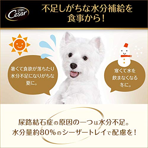 シーザー シニア犬用 11歳からの 味わいチキン チーズ パンプキン 野菜入り 100g 24個 まとめ買い ドッグフード ウェット 低価格化