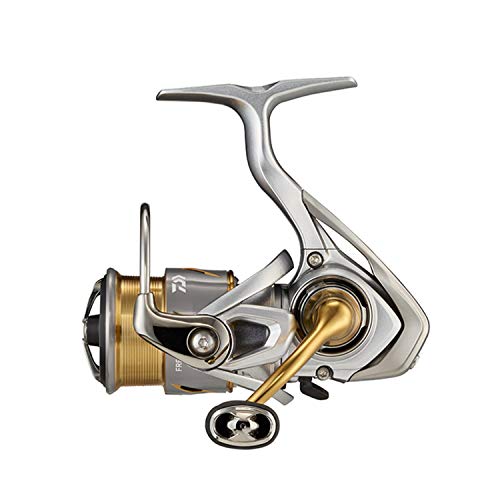 ダイワ(DAIWA) 21 フリームス FC LT1000S 魚釣り