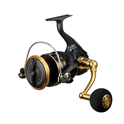 楽天市場】ダイワ(DAIWA) 21 フリームス LT6000D-H 釣り : kokolohasstyle