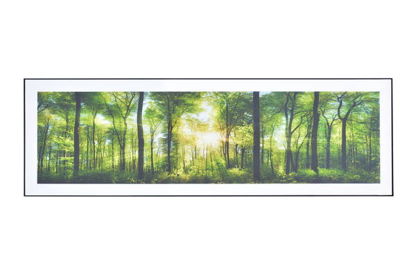 アートパネル ホワイト 東谷 AZUMAYA ワイド アートパネル 幅140&times;奥行4&times;高さ45cm 横型 海 森林 自然 景色 パネル インテリア 雑貨 おしゃれ アート フォトグラフ 絵画 装飾 横向き 絵 ART-201A｜kokolohasstyle
