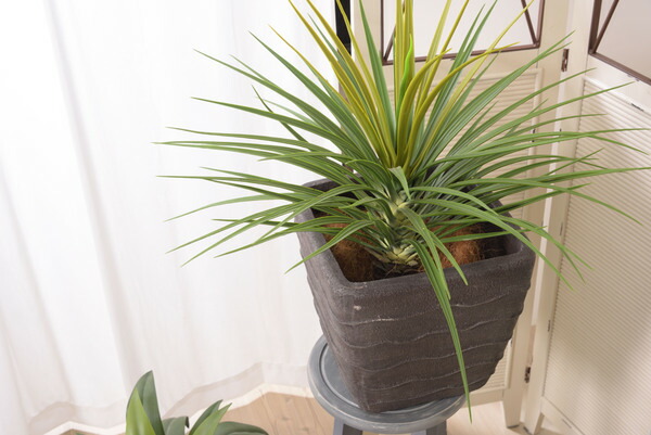 グリーンベース ダークグレー 完成品 GRNB-200 東谷 azumaya 植木鉢 軽量 プランター カバー 園芸 ポット 観葉植物 ポット 鉢植え 鉢 スタンド おしゃれ GRNB-200 グリーンベース ベース 入れ物 観葉植物入れ 飾り インテリア インテリア雑貨 室内 おしゃれ