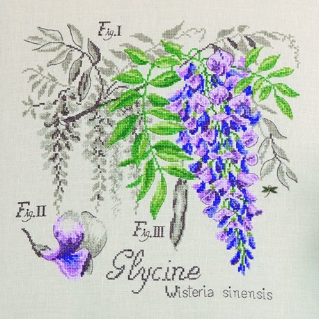 VERONIQUE ENGINGER(ヴェロニク・アンジャンジェ)クロスステッチキット壁掛け お花 シリーズ "Etude a la Glycine" (藤のエチュード)【リネン】｜ココロショップ 7,315円