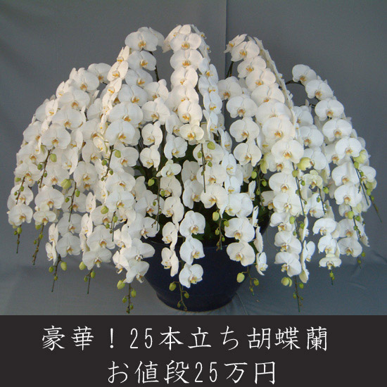 父の日余分の物差し上げ物