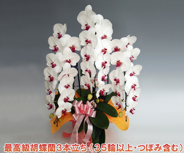父の日余分の物差し上げ物