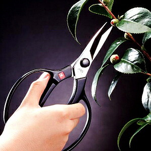 【 植木はさみ 】 植木ばさみ　ロングタイプ 【日本製/軽量/植木/お庭/お花/お手入れ/剪定鋏/U-600L/剪定はさみ/ギフト/父の日/植木鋏/お父さん/おとうさん/敬老の日/アルス/お爺ちゃん/おじいちゃん/贈り物/誕生日プレゼント/鍛造刃/ヤニ溝付き】