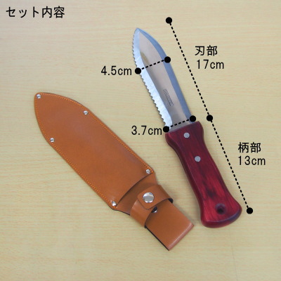 【楽天市場】アウトドア ナイフ ステンレス製山菜堀りナイフ 収納ケース付き 【日本製 ステンレス アウトドアナイフ 山菜 山菜堀り 山菜採り