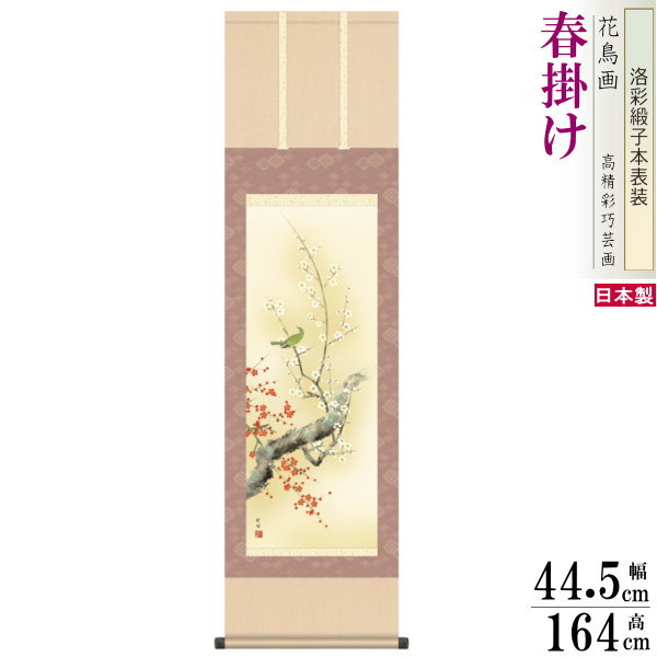 掛け軸 花鳥画 春掛け 田村竹世 紅白梅に鶯 1 洛彩緞子本表装 尺3&times;1個 日本製 送料無料 名画複製 掛軸 春飾り 日本画 和風 上品 うめ 梅の花 お花 紅白 うぐいす めでたい インテリア 素敵 お部屋 リビング 和室 床の間飾り 飾り物 お祝い 贈り物 ギフト プレゼント｜雑貨屋　ココウキ