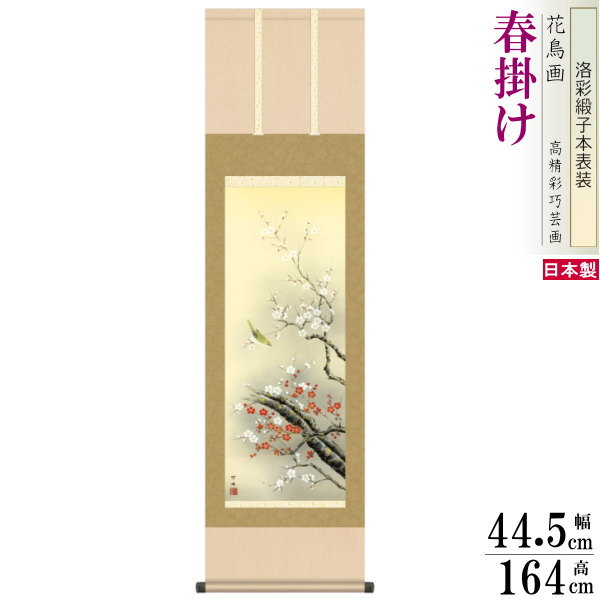 掛け軸 花鳥画 春掛け 田村竹世 紅白梅に鶯 2 洛彩緞子本表装 尺3×1個 日本製 送料無料 名画複製 掛軸 春飾り 日本画 和風 上品 うめ 梅の花 お花 紅白 うぐいす めでたい インテリア 素敵 お部屋 リビング 和室 床の間飾り 飾り物 お祝い 贈り物 ギフト プレゼント