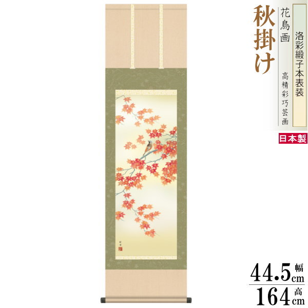 gfsan-00250.jpg