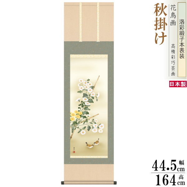 楽天市場】掛け軸 花鳥画 秋掛け 田村竹世 菊花 洛彩緞子本表装 尺5 桐
