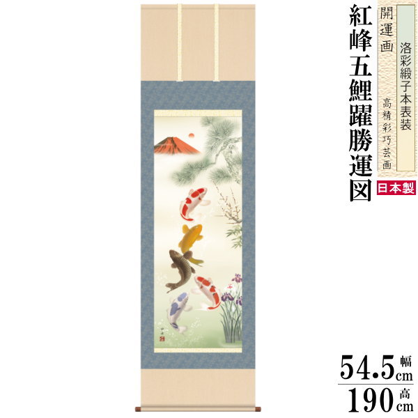 gfsan-00390-n.jpg