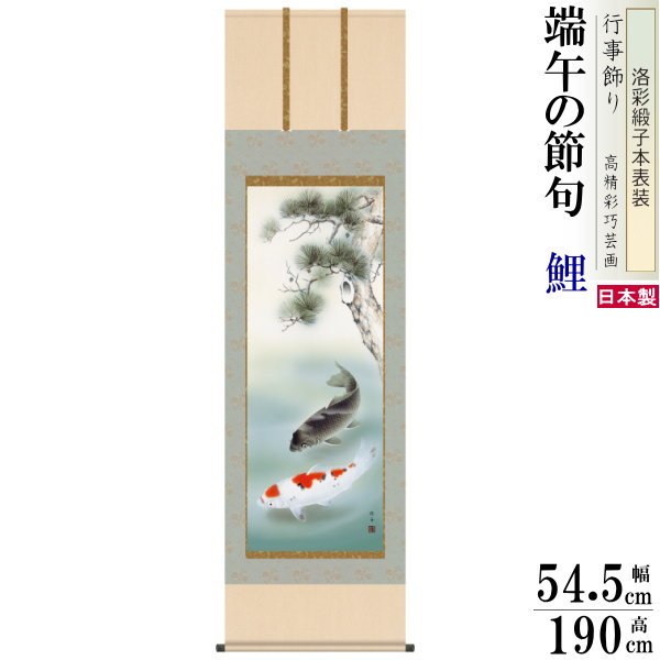 楽天市場】掛け軸 鯉 長江桂舟 端午の節句画 昇鯉 洛彩緞子本